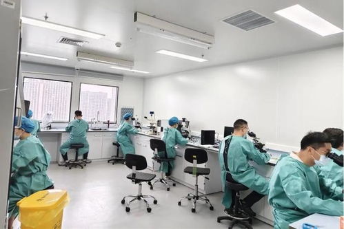 嘉實力全開！嘉定區在全市疾病預防控制職業技能競賽中包攬多個獎項