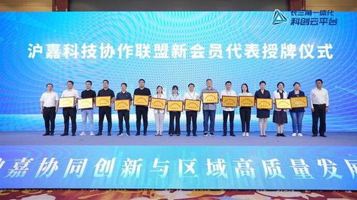 上海和嘉興今天成立一個新聯盟