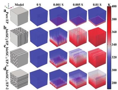 西安交大楊建鋒、王波《Adv.Sci.》 木材衍生3D SiC框架賦能，創制導熱率達10.27W/mK的高性能復合材料